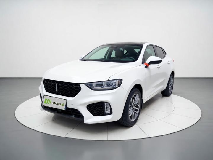 VV5 2019 Upgraded 2.0T RWD China VI