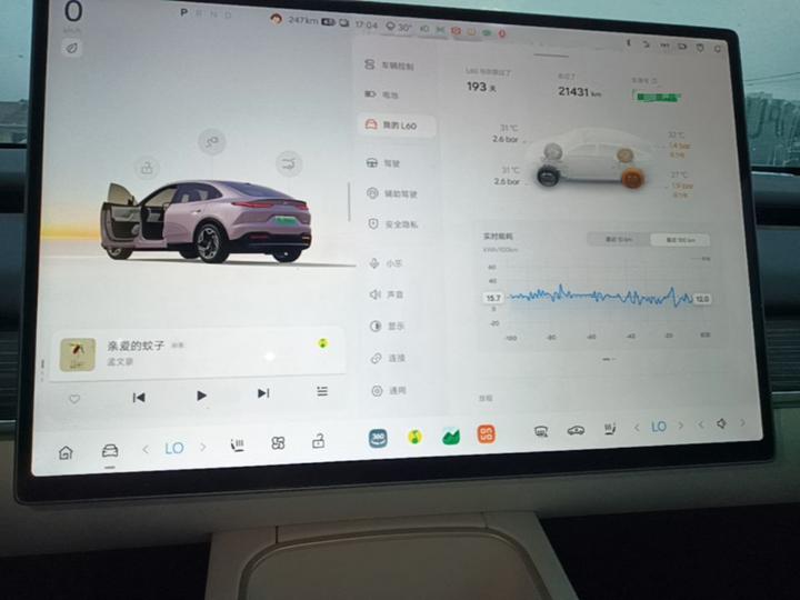 L60 2025 60kWh RWD photo 8