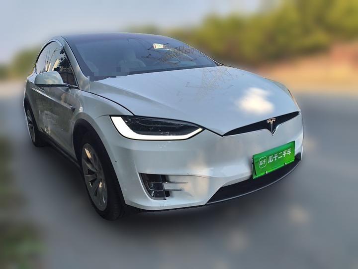 Model X 2019 Performance Performance photo 3