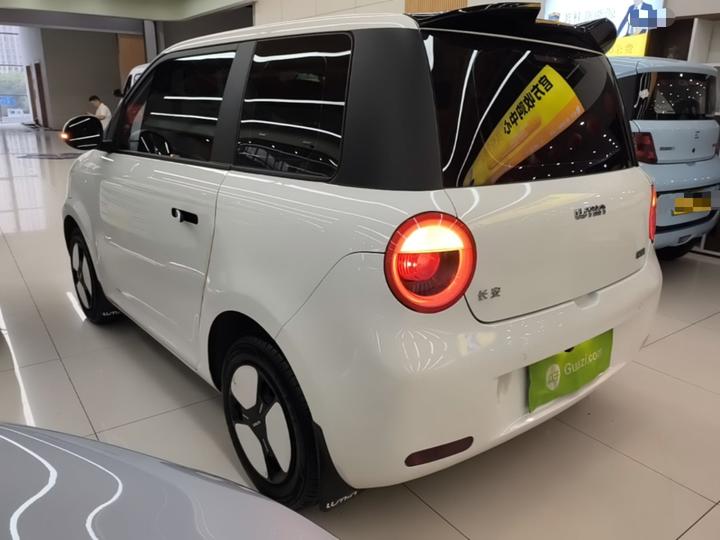Nevo Changan Lumin 2022 210km photo 4