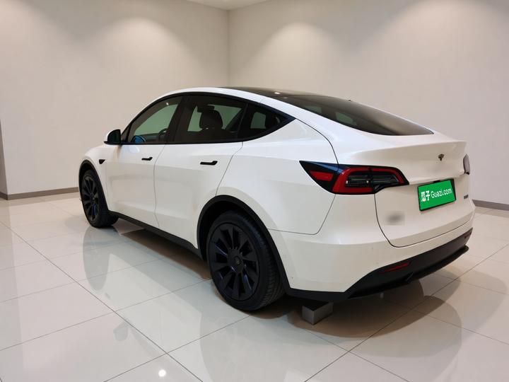 Model Y 2021 Facelift Long Range AWD photo 4