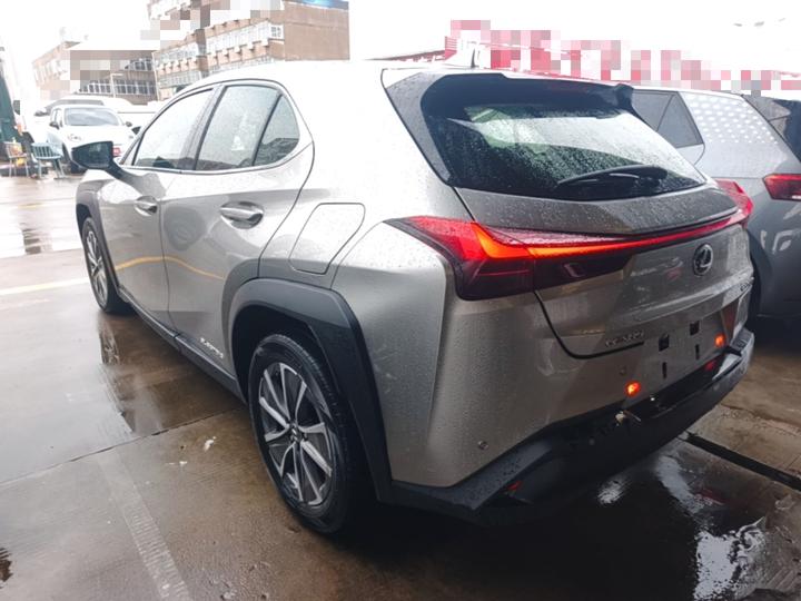 UX EV 2020 300e photo 4
