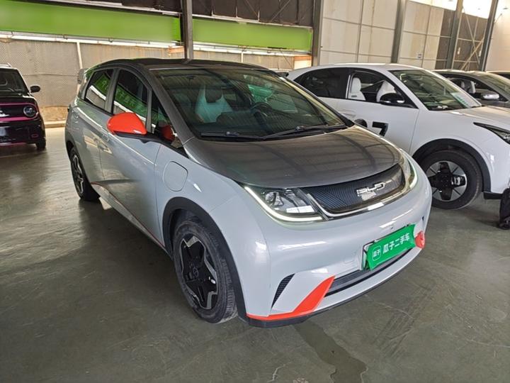 Dolphin 2021 405km photo 3