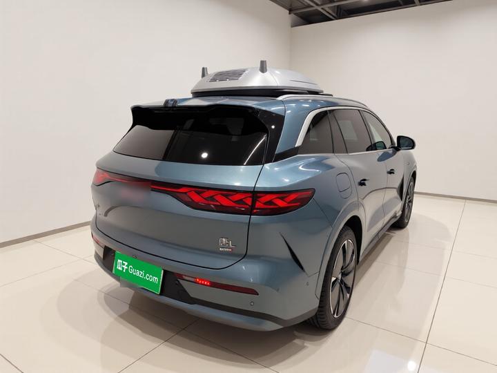Tang L 2025 DM 175KM photo 4
