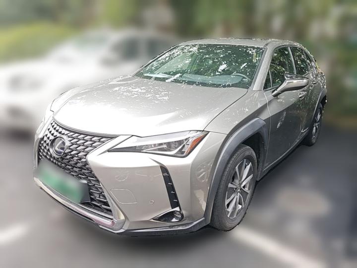 UX EV 2020 300e