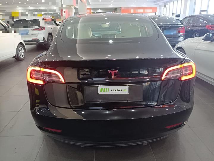 Model 3 2021 Performance AWD photo 5