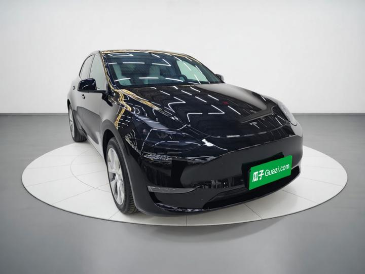 Model Y 2021 Standard Range RWD photo 3