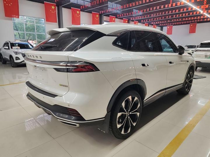 RX5 EV 2023 eRX5 photo 4