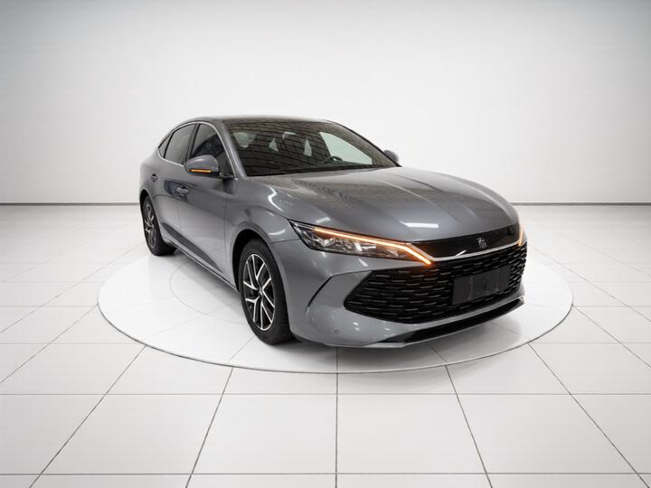 Qin L 2024 DM-i 80KM photo 3