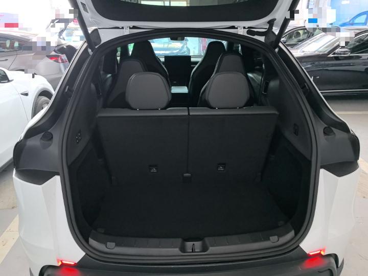 Model Y L 2025 Long Range AWD photo 8