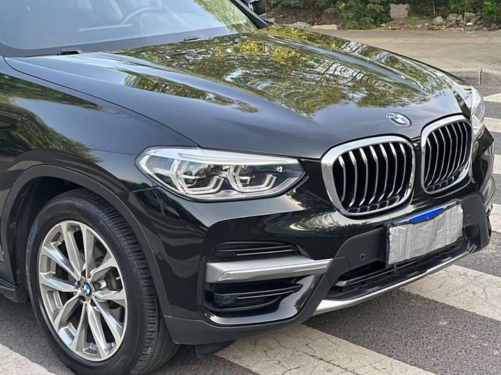 X3 2019 xDrive25i Luxury photo 3