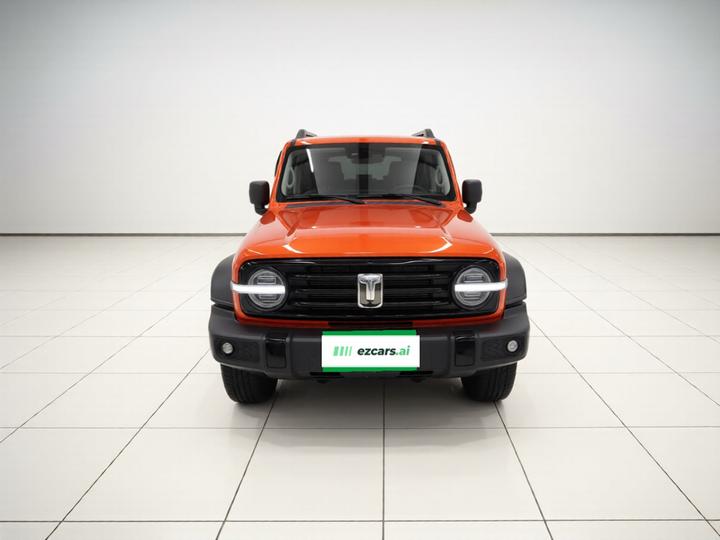 300 2021 Off-road 2.0T Conqueror photo 3