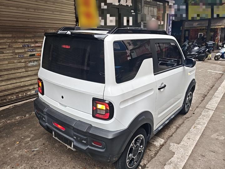 2024 200km Panda photo 6