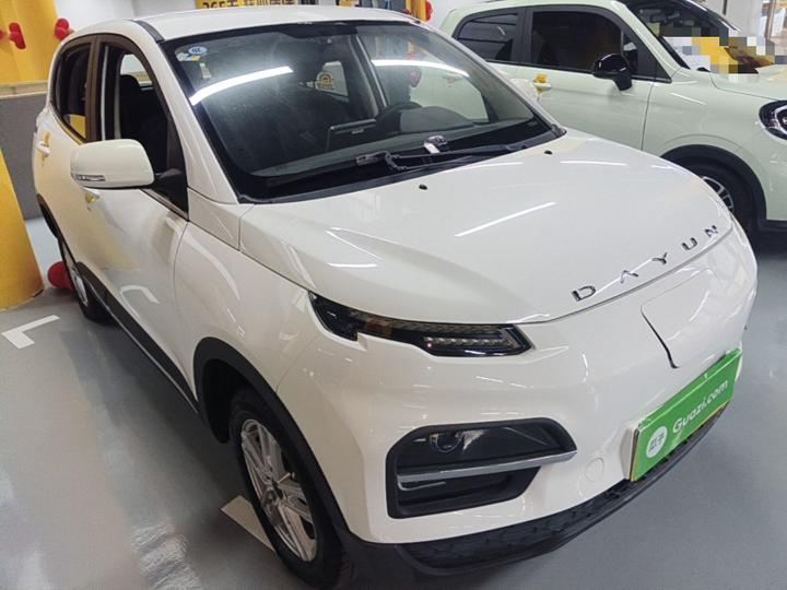 Dayun Yuehu 2022 300 Standard photo 3
