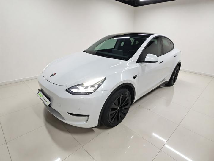 Model Y 2021 Standard Range RWD