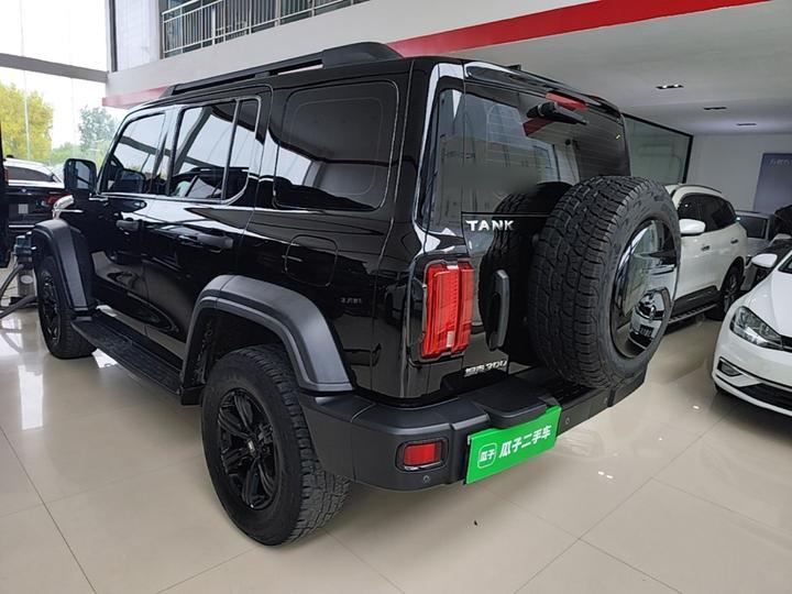 300 2021 Off-road 2.0T Conqueror photo 4
