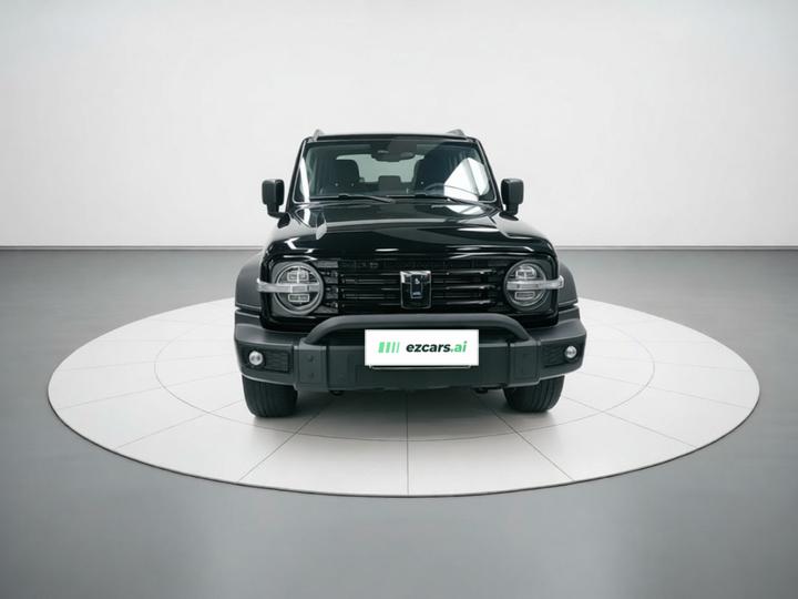 300 2023 Off-road 2.0T Conqueror photo 2