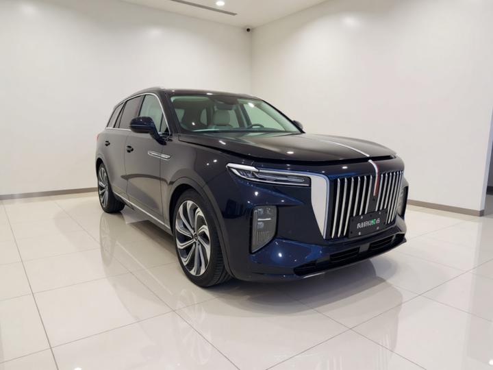 E-HS9 2021 510km 4-Seater photo 3