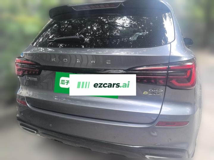 RX5 EV 2020 ePLUS Flagship photo 5