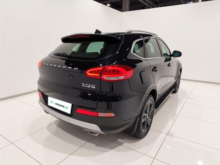 Liebao CS10 2017 2.0T AT photo 6