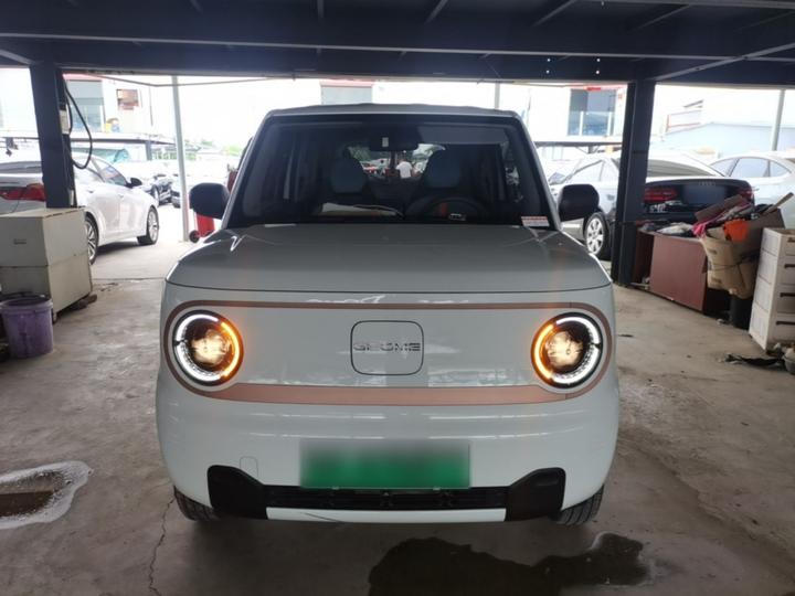 2024 Panda mini 200km Endurance Bear photo 2