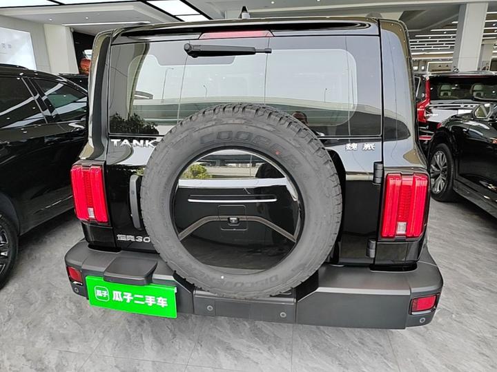 300 2021 Off-road 2.0T Conqueror photo 3