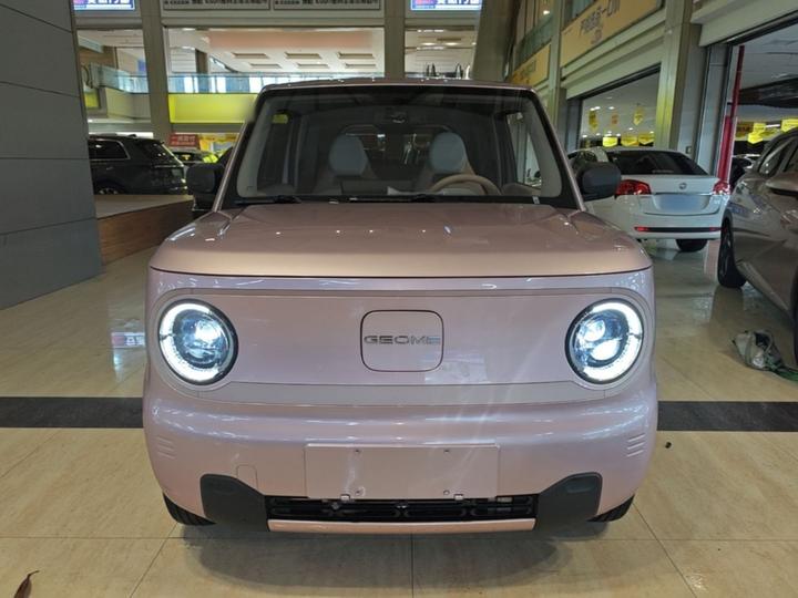 2023 Panda mini 200km Endurance Bear photo 2