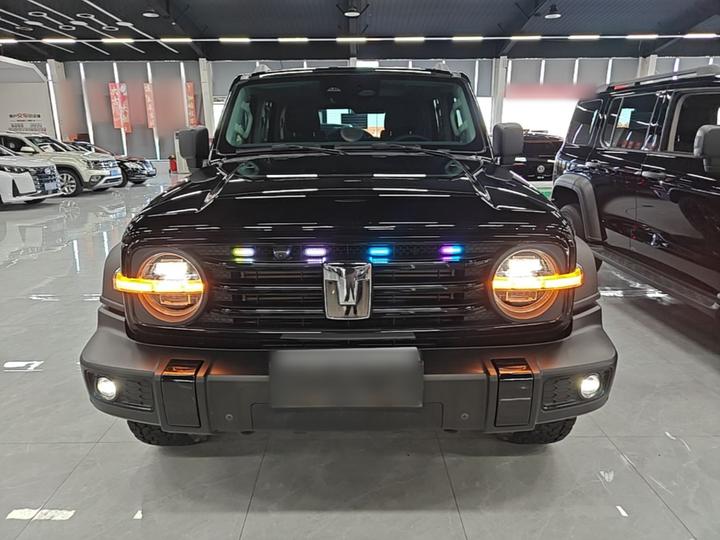 300 2024 2.0T Conqueror photo 2