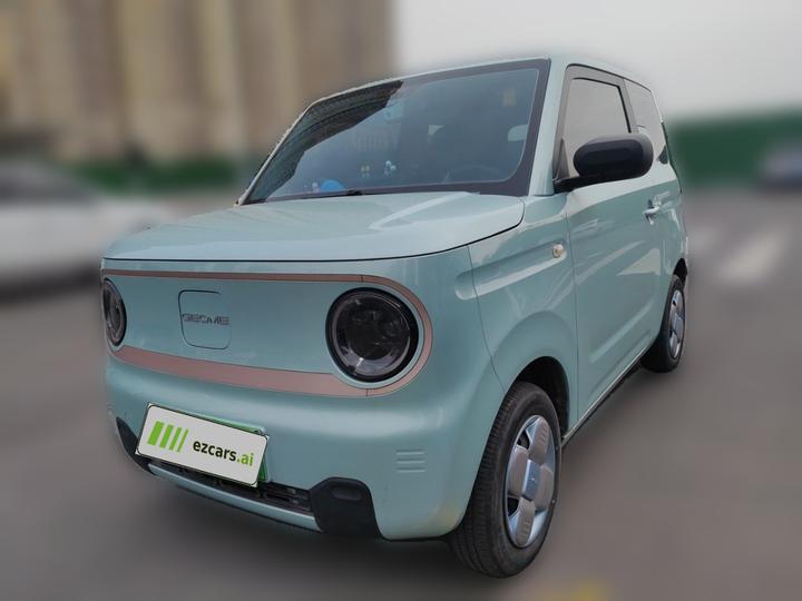 2023 Panda mini 200km Endurance Bear