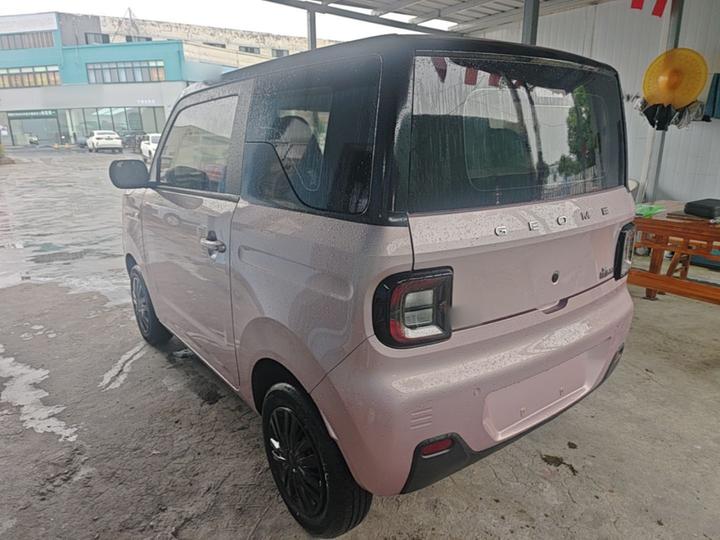 2024 Panda mini 200km Endurance Bear photo 4