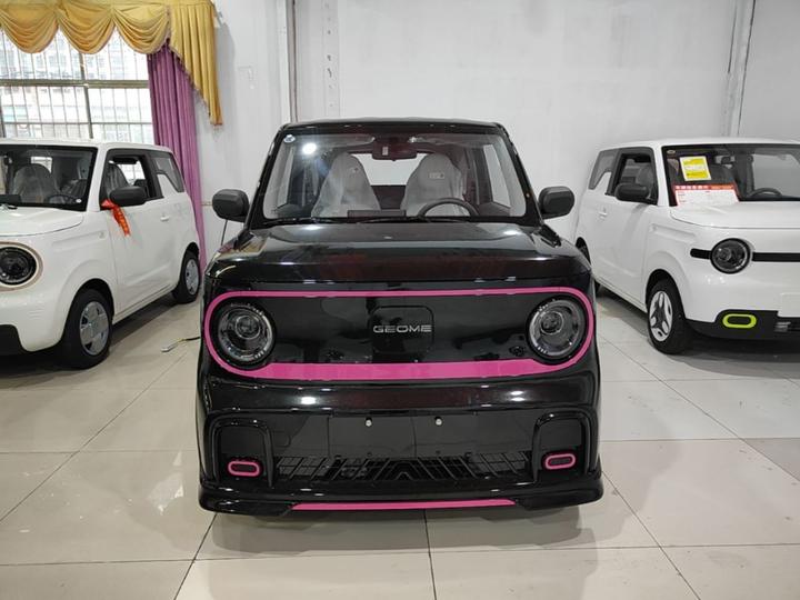 2025 210km Panda photo 2