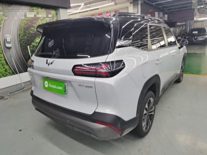 560 EV 2026 125km Luxury photo 6