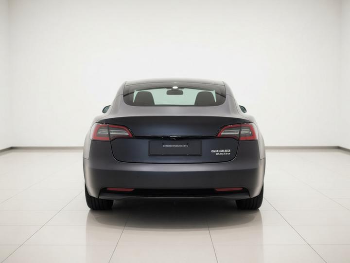 Model 3 2022 Performance AWD photo 4