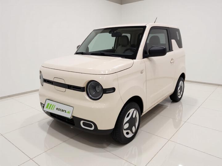 2025 Panda mini 210km Yuan