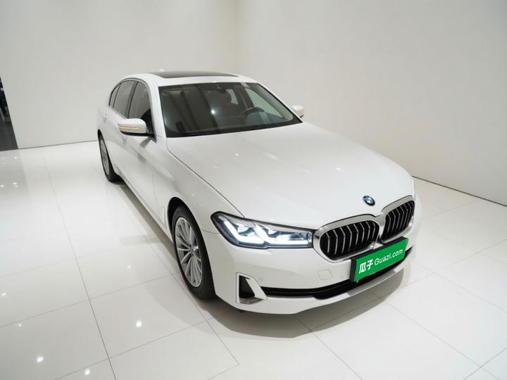 5 Series EV 2021 535Le Luxury photo 3