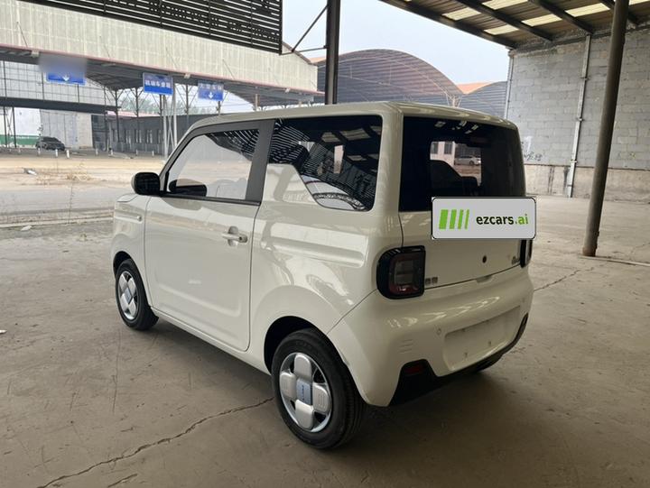 2023 Panda mini 200km Endurance Bear photo 4