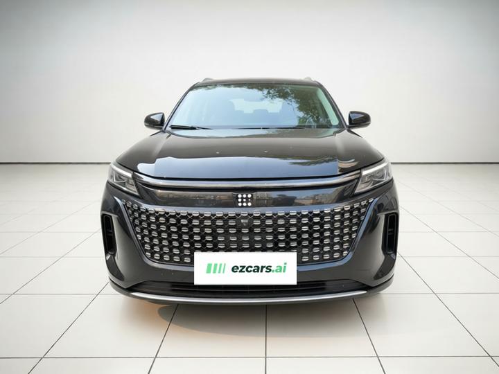 Bluelectric E5 2023 1.5L DE-i 100KM 7-Seater photo 2