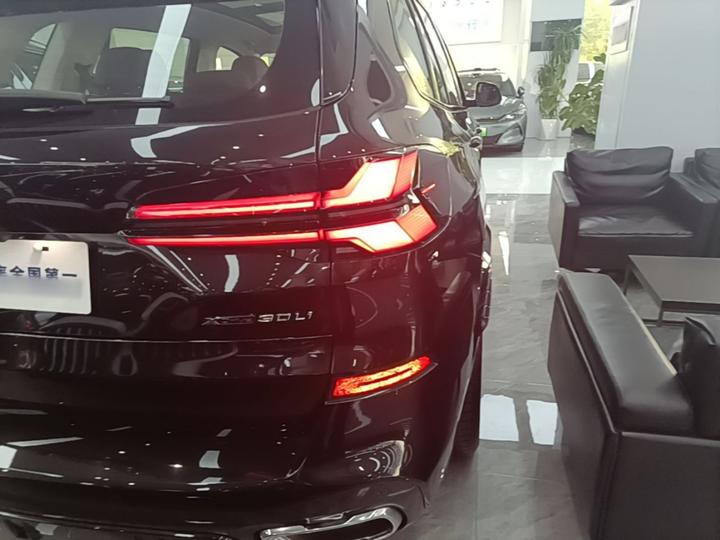 X5 2023 xDrive 30Li Exclusive M M Sport Night Package photo 7