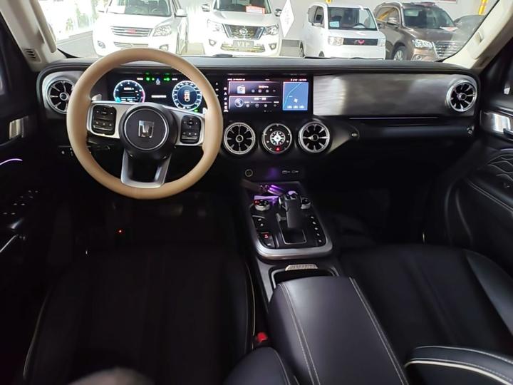 300 2021 Off-road 2.0T Conqueror photo 5