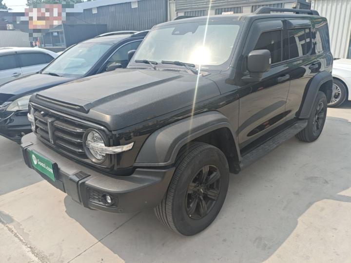 300 2021 Off-road 2.0T