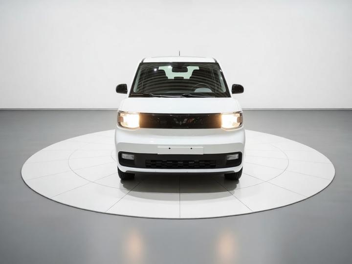 Hongguang MINIEV 2022 LFP photo 2