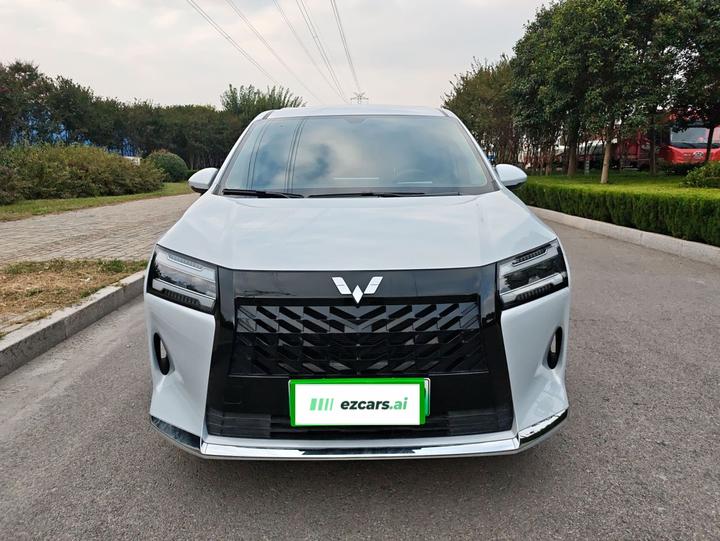 730 EV 2025 125km Luxury photo 2