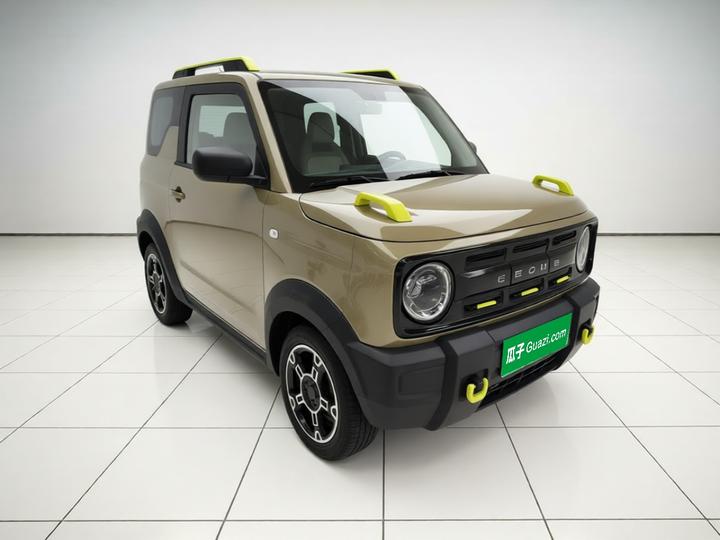 2025 210km Panda photo 3