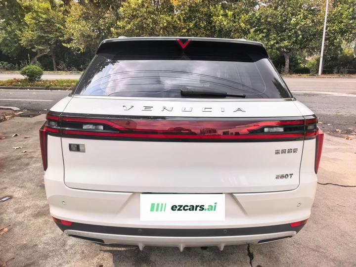 2020 260T AT 48V Mild Hybrid photo 3