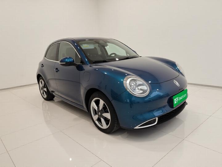 Good Cat 2021 400km Standard Range LFP photo 3