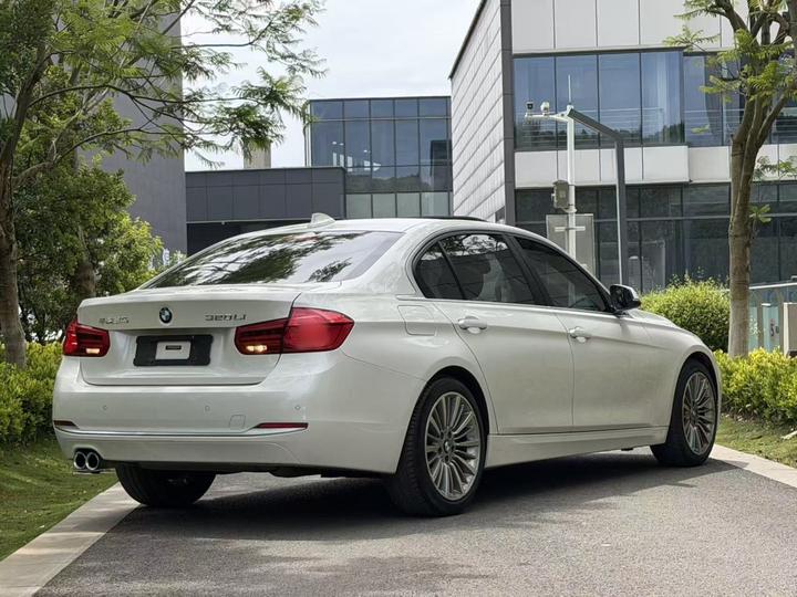 3 Series 2019 320Li Fashion photo 3