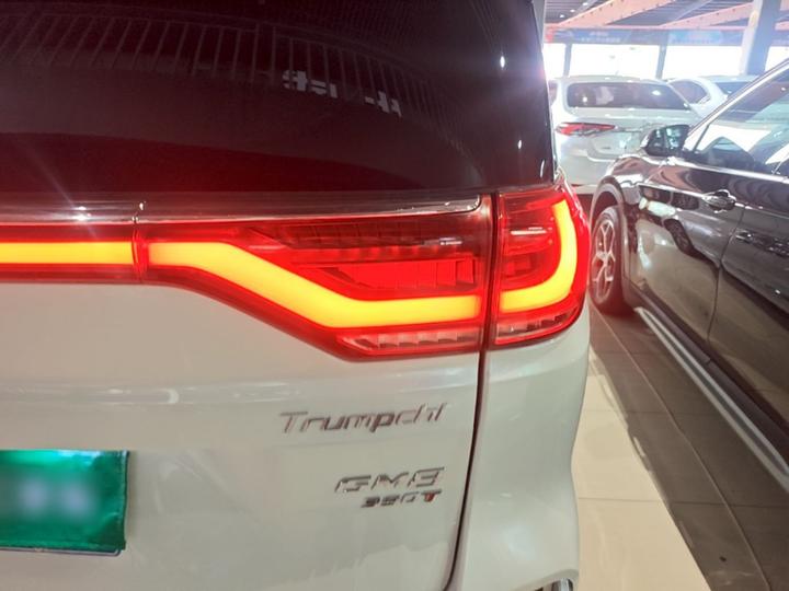 GAC Trumpchi M8 2020 Pilot 390T Flagship photo 7