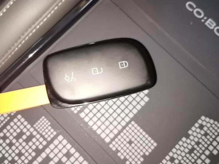 Z20 2025 530km RWD Max photo 8