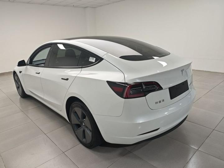 Model 3 2021 Facelift Standard Range RWD Upgraded 3D1 photo 4