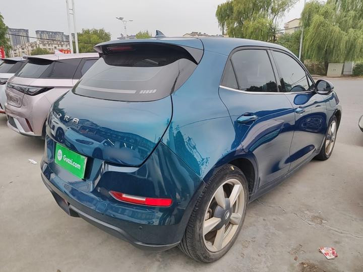 Good Cat 2021 400km Standard Range LFP photo 6